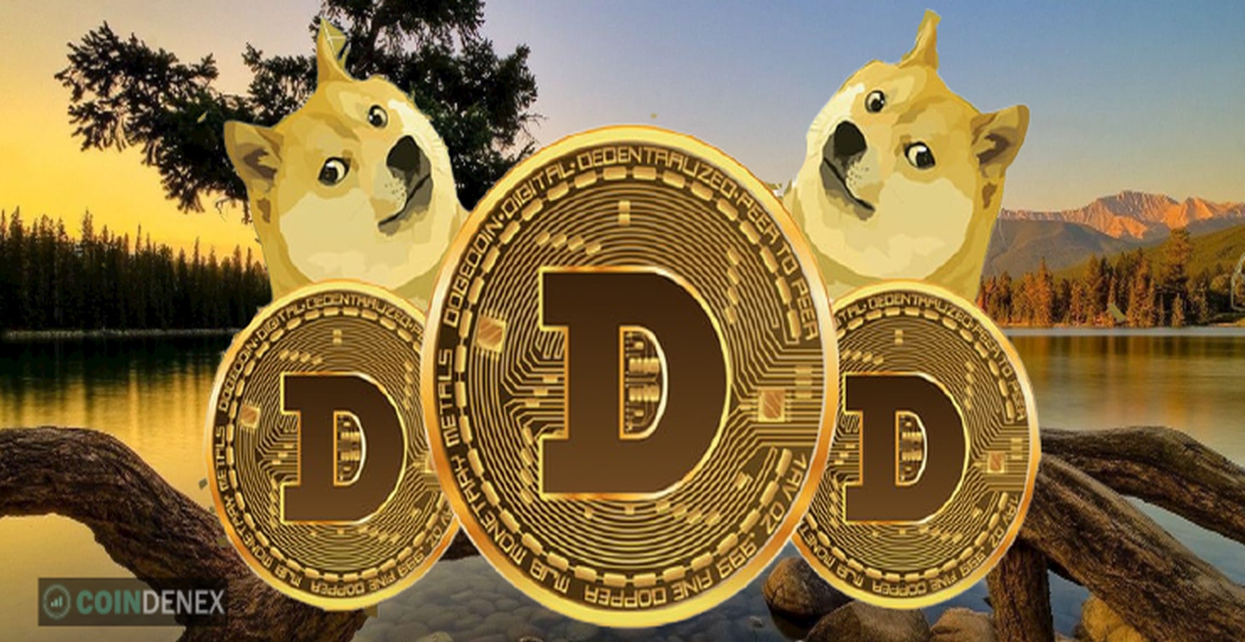 Dave Portnoy drops all of his Dogecoins To Buy Bitcoin