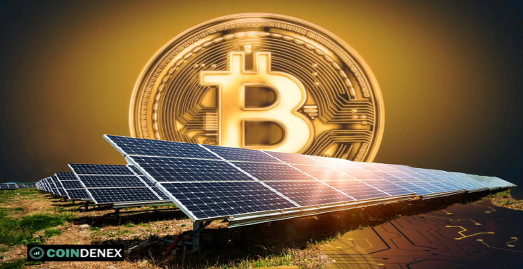 BTC solar cell program ,coindenex.