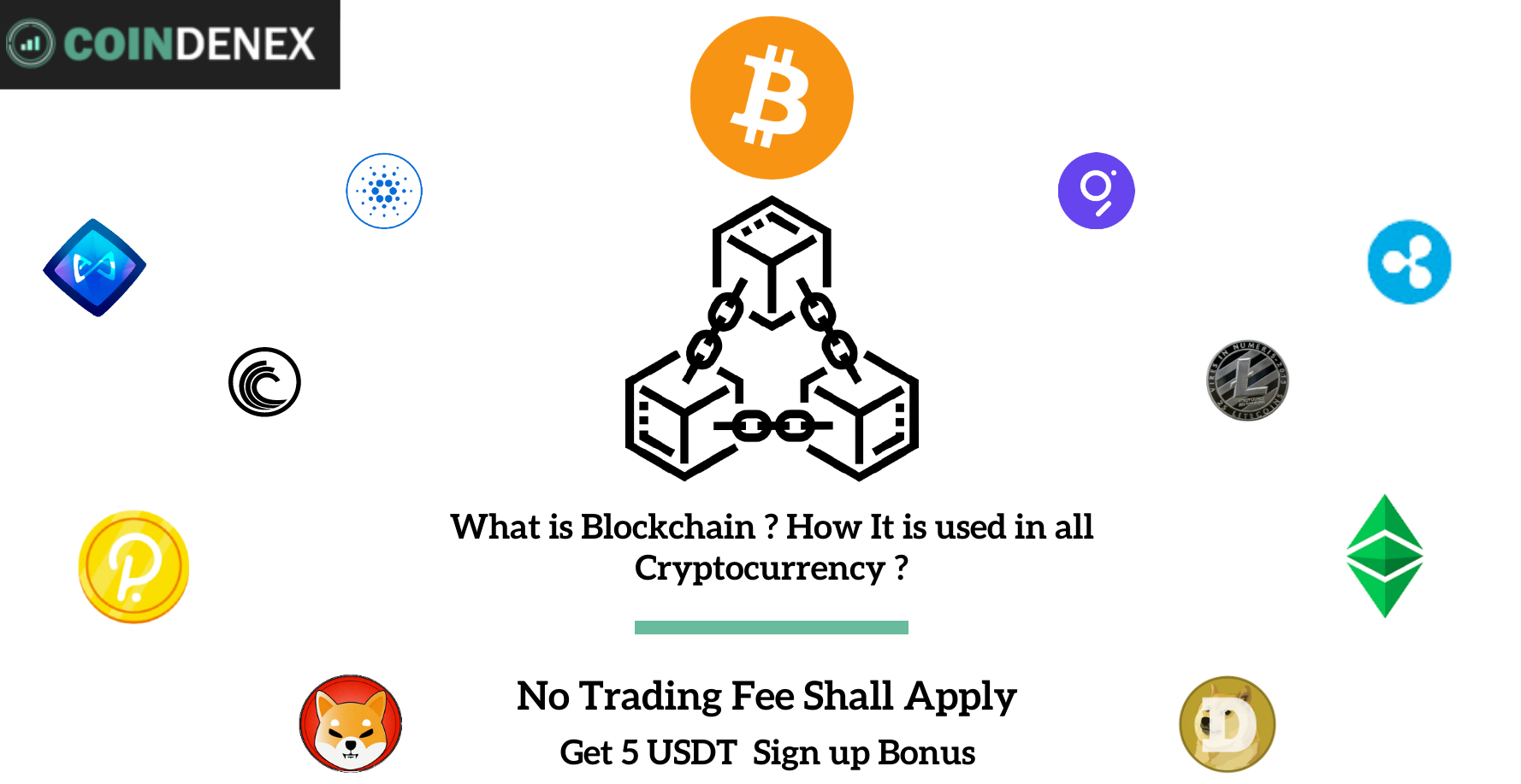 Blockchain & Cryptocurrency explained