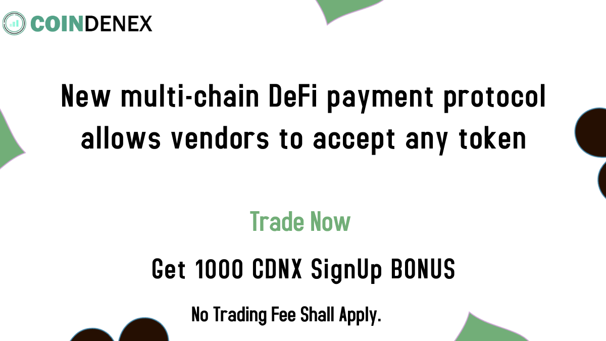 Defi Payment protocol